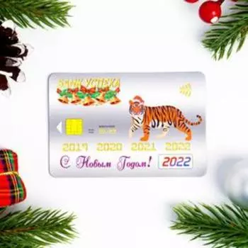 Магнит "С Новым Счастьем!" МИКС, 9х6см