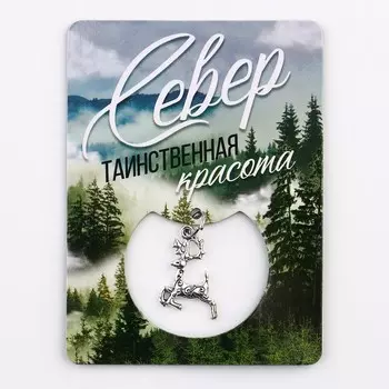 Магнит "Север", 6 х 8 см