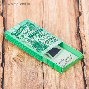 Магнит «Челябинск»