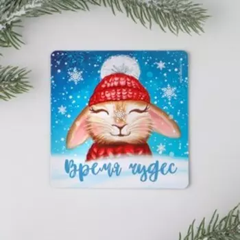 Магнит «Волшебного года», МИКС