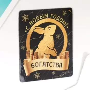 Магнит винил "Кролик. Богатства" 6х7 см