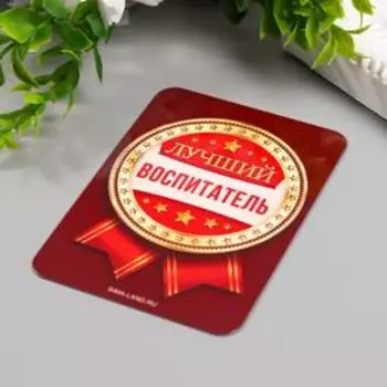 Магнит винил "Воспитатель" 7х10 см