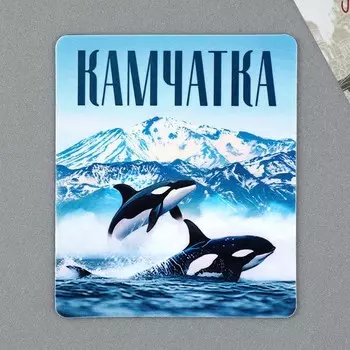 Магнит виниловый «Камчатка» 6 х 7 см