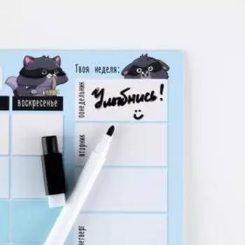 Планер магнитный А4 и стирающийся маркер«Енотик»,