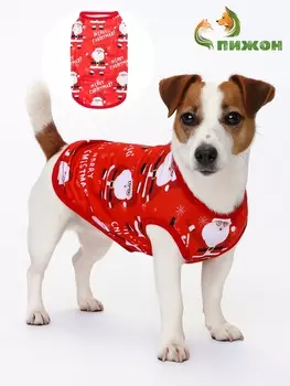 Майка Merry, размер S (ДС 25, ОШ 25, ОГ 35 см), красная