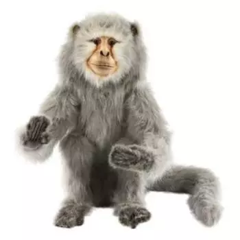 Макака, 50 см (не включая хвост)