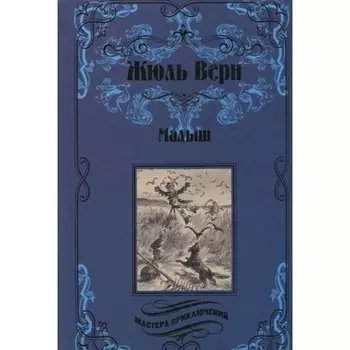 Малыш. Верн Ж.