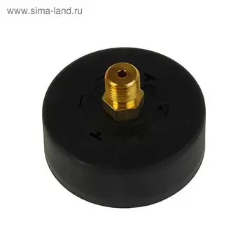 Манометр Watts 10008095, аксиальный, Дк 63 мм, 0,6 МПа, наружная резьба 1/4"