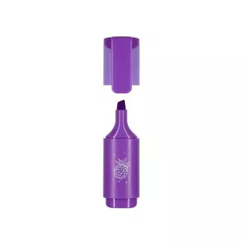 Маркер текстовыделитель 5.0 мм, BrunoVisconti Flower Marker Zefir, МИКС