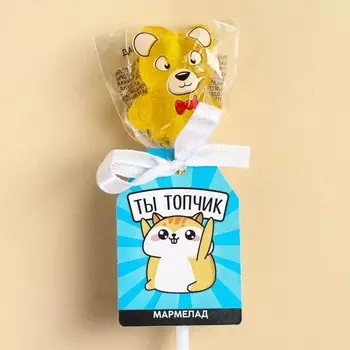 Мармелад на палочке мишка «Ты топчик», 12 г.