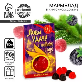 Мармелад жевательный в коробке «Лови удачу в новом году» ягоды, 50 г.