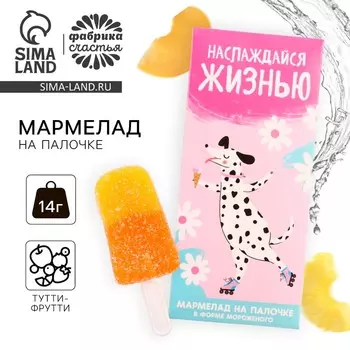 Мармелад мороженое «Наслаждайся жизнью», 1 шт. х 14 г.