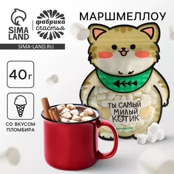 Маршмеллоу в формовом пакете «Ты самый милый котик», 40 г