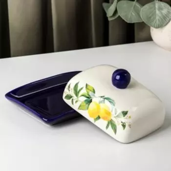 Маслёнка Доляна «Лимон», 17128,5 см, цвет белый