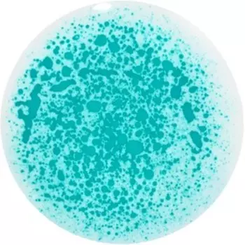 Масло для губ Influence Beauty Lava lip oil, двухфазное тон 05, 6 мл