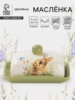 Маслёнка Доляна «Зайка», 17128.5 см, доломит, белая