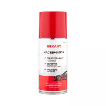 Мастер ключ REXANT, 210 мл