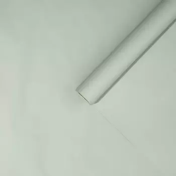 Плёнка для цветов упаковочная матовая «Фисташковая», 0.5 x 8 м, 55 мкм