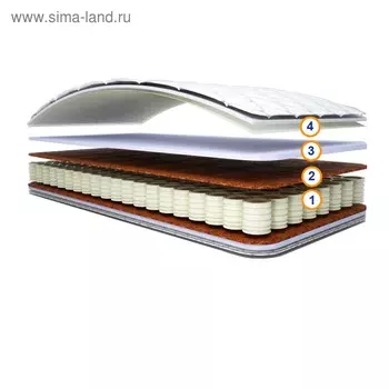 Матрас «Чита», размер 70200 см, высота 16 см