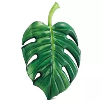 Матрас для плавания «Пальмовая ветка», 206 х 132 см, 58782EU INTEX