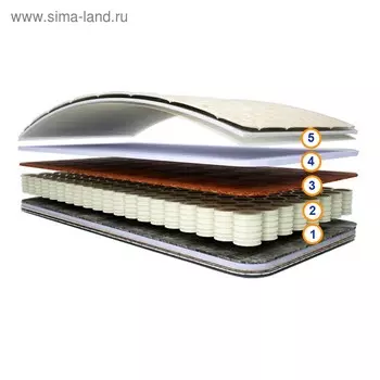 Матрас «Мишка», размер 65125 см, высота 15 см