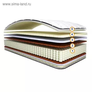 Матрас «Мультекс», размер 140195 см, высота 24 см