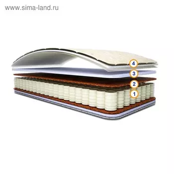 Матрас «Вилли», размер 80200 см, высота 19 см