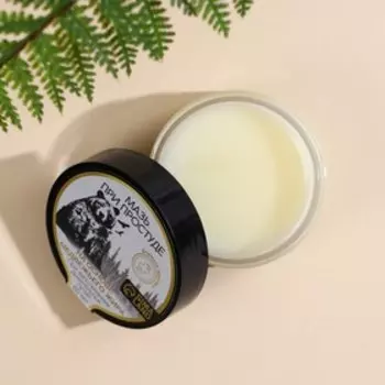 Мазь на основе медвежьего жира, 60 мл, при простуде и воспалении суставов