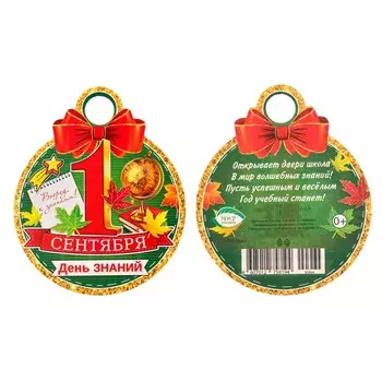 Медаль "1 Сентября" бант, глобус, 10х10см