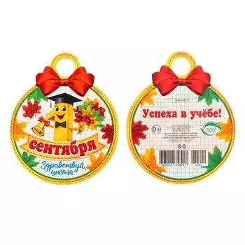 Медаль "1 Сентября. Здравствуй, школа!" 10х10см