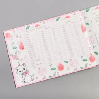 Медицинская карта «История развития ребёнка», Коты Аристократы, 40 листов