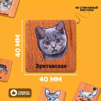 Мемори «Кошки», в картонной коробочке