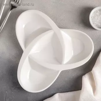 Менажница керамическая 4 ячейки «Трикветр», 212,5 см