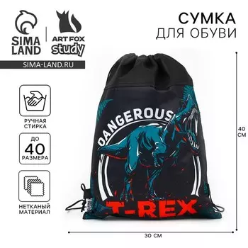 Мешок для обуви «T-REX динозавр» нетканое полотно, размер 3040 см