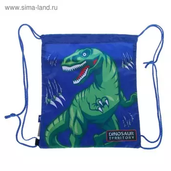 Мешок для обуви, 400 х 350 мм, Yes SB-01, Dinosaur