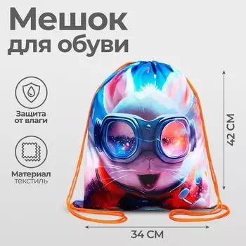 Мешок для обуви 420 х 340 мм, Calligrata МСО-5С, (мягкий полиэстер, плотность 210D), "Пушистый дружок заяц"