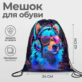 Мешок для обуви 420 х 340 мм, Calligrata МСО-5С, (мягкий полиэстер, плотность 210D), "Собака в наушниках"