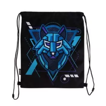 Мешок для обуви 430 х 340 мм, Seventeen, чёрный/синий