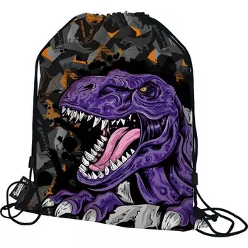 Мешок для обуви 430 х 340 мм, Seventeen "Дино" чёрный/фиолетовый SKJB-UT3-883