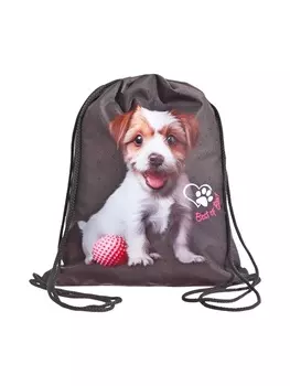 Мешок для обуви Stavia на шнурке, с принтом, размер 430.536 см, серый/белый