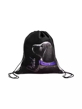 Мешок для обуви Stavia на шнурке, с принтом, надписью, размер 430.536 см, чёрный/сиреневый