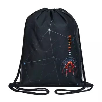 Мешок для обуви 435 х 360 мм, Stavia (плотность 600D с водоотталкивающей ПУ-пропиткой) "Паук"