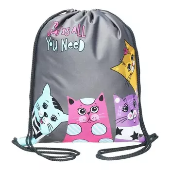 Мешок для обуви 435 х 360 мм, Stavia (плотность 600D с водоотталкивающей ПУ-пропиткой) "Четыре кота" серый