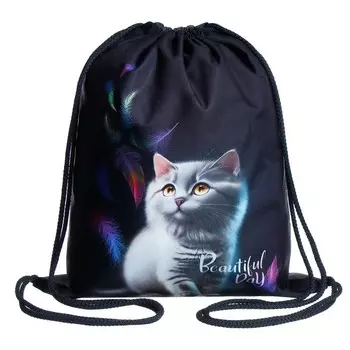 Мешок для обуви 435 х 360 мм, Stavia (плотность 600D с водоотталкивающей ПУ-пропиткой) "Кот и перья"