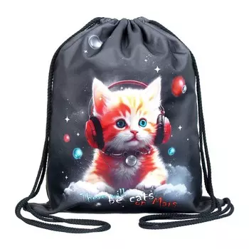 Мешок для обуви 435 х 360 мм, Stavia (плотность 600D с водоотталкивающей ПУ-пропиткой) "Марсианский котик"