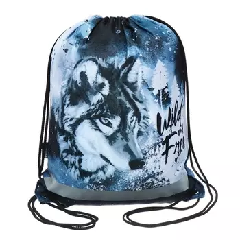 Мешок для обуви 440 х 365 мм, ErichKrause, плотность 300D, со светоотражающей полосой, Timber Wolf