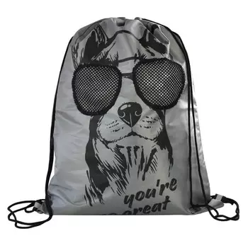 Мешок для обуви 480 х 360 мм, Феникс, шелкография, сетка, "Собака в очках"