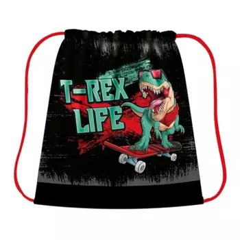 Мешок для обуви 490 х 410 мм, СДС-53, T-REX 2023