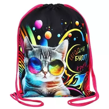 Мешок для обуви 490 х 410 мм, Оникс МО-27-1, "Кот на стиле"