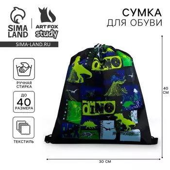 Мешок для обуви «Динотайм» (болоньевый материал) 4333 см